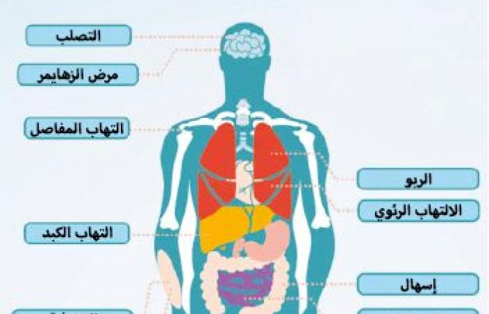 كل ما تريد معرفته عن الميكروبيوتا.. هذه قصتها بأجسامنا