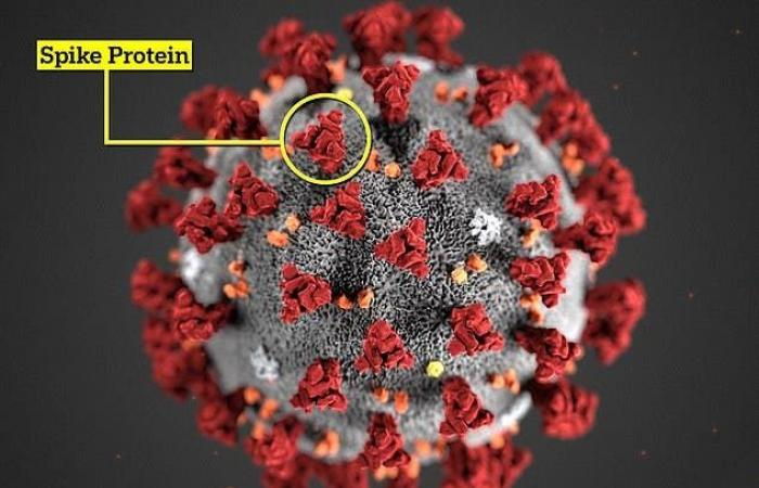 دراسة خطيرة تكشف تأثير كورونا المستقبلي على بعض المتعافين