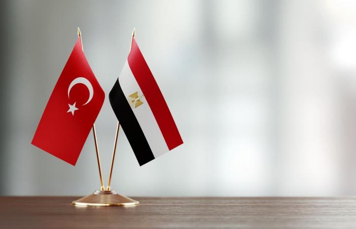 معارضة تركية لأردوغان: بسبب عنادك خسرنا مصر