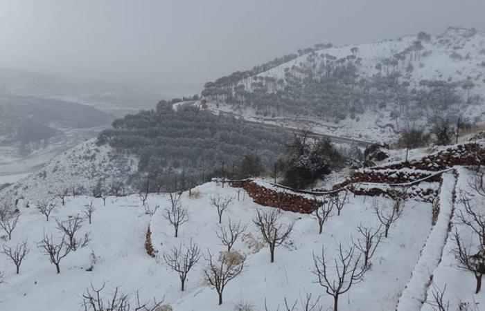 العثور على 4 سوريين تجمدوا حتى الموت بشرق لبنان