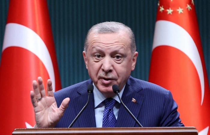 وصفته بـ"يشغل منصب الرئاسة".. أردوغان يقاضي معارضة بارزة