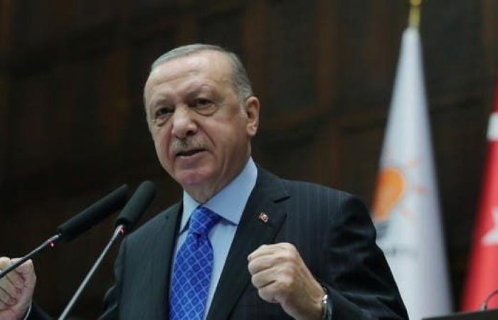 أردوغان: نأمل بزيادة التعاون مع مصر ودول الخليج لأقصى مدى