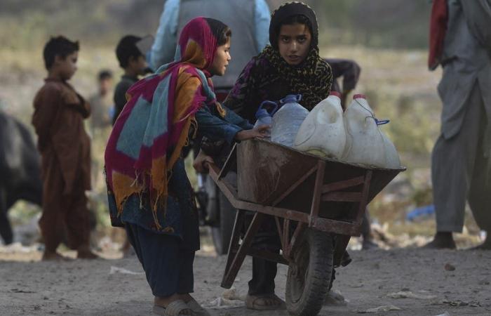 عبر "إنستغرام".. المهاجرون الأفغان يثيرون الجدل في تركيا