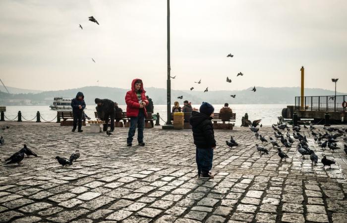 عبر "إنستغرام".. المهاجرون الأفغان يثيرون الجدل في تركيا