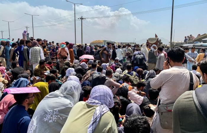 بعد فشل الإخوان.. أصوليات مسلحة تهتف "تحيا طالبان"