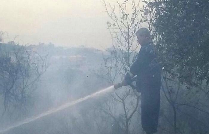 خطة طموحة لصد حرائق الغابات في لبنان