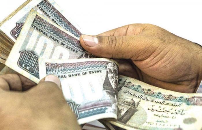 ارتفاع كبير بتحويلات المصريين العاملين في الخارج