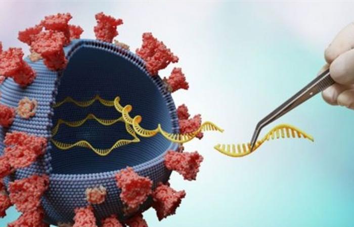 هل نحن أمام خطر ظهور سلالات جديدة من 'كورونا'