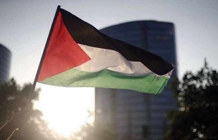 فلسطين: التصعيد الإسرائيلي يهدد أمن المنطقة