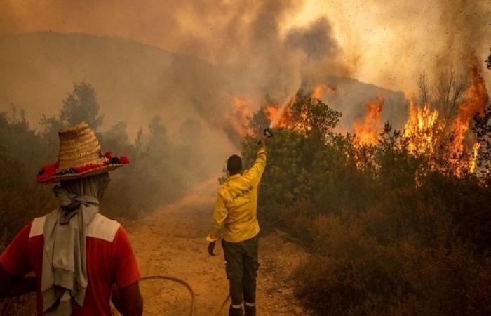 المغرب: احتواء 50% من حرائق الغابات في شمال البلاد