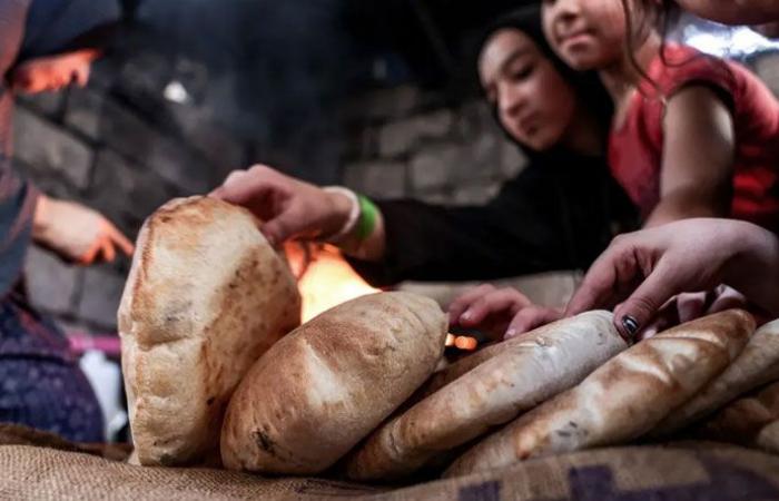 بسبب تضرر المطاحن.. الخبز “نادرٌ” في غزة